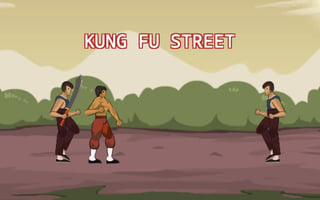 Kung Fu Street game cover