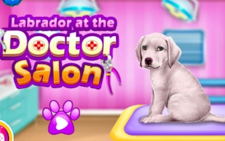 Labrador At The Doctor Salon