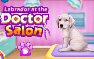 Labrador at the Doctor Salon