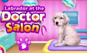 Labrador at the Doctor Salon