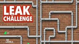 漏水挑战 (Leak Challenge)