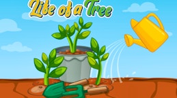 Life of a Tree