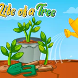 Life of a Tree