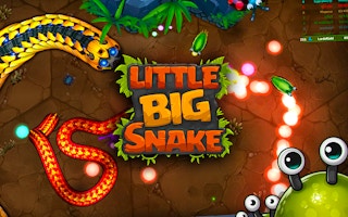 Little Big Snake