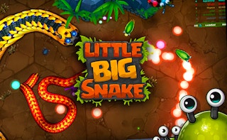 Little Big Snake