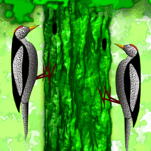 Little Woodpecker Thumbnail