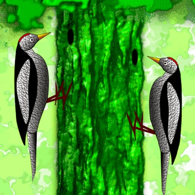 Little Woodpecker By Gamepix