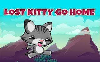 Lost Kitty Go Home game cover