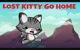 Lost Kitty Go Home game cover