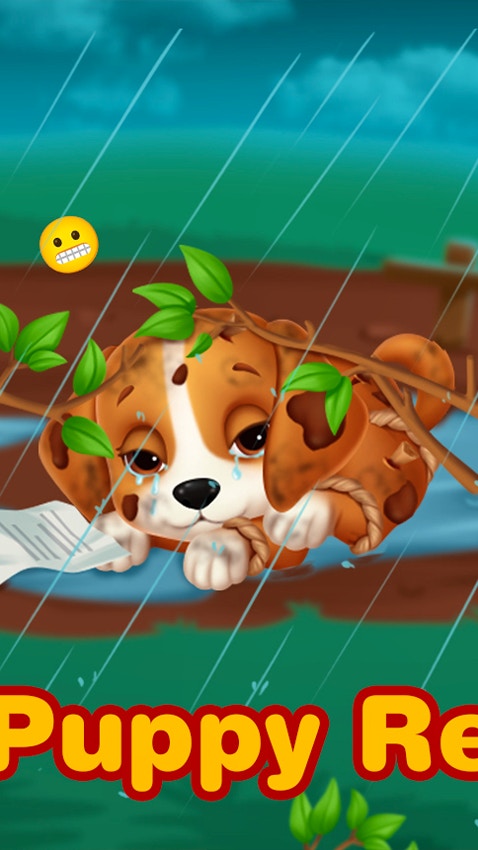 Lost Puppy Rescue and Care