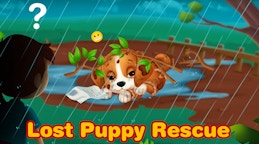 Lost Puppy Rescue and Care