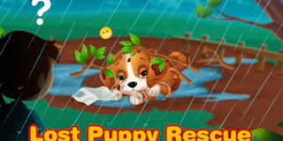 Lost Puppy Rescue and Care thumbnail