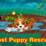 Lost Puppy Rescue and Care