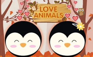 Love Animals game cover