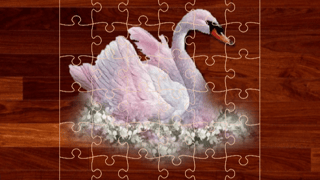 Love Birds Puzzle
