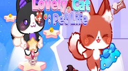Lovely Cat Pet Life