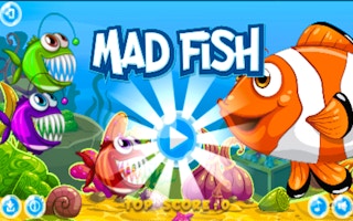 Mad Fish game cover