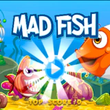 Mad Fish