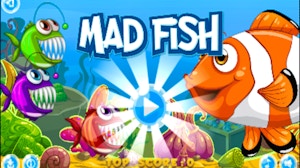 Image for Mad Fish