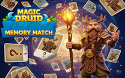 Magic Druid Memory Match