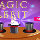 Magic Rabbit