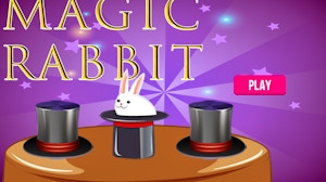 Image for Magic Rabbit