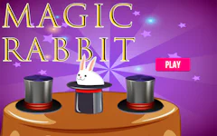 Magic Rabbit