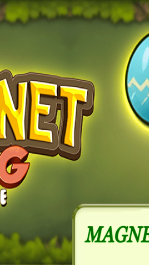 Magnet Egg Puzzle