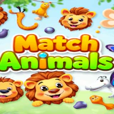 Match Animals