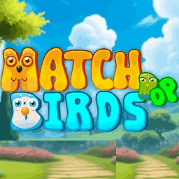 Match Pop Birds