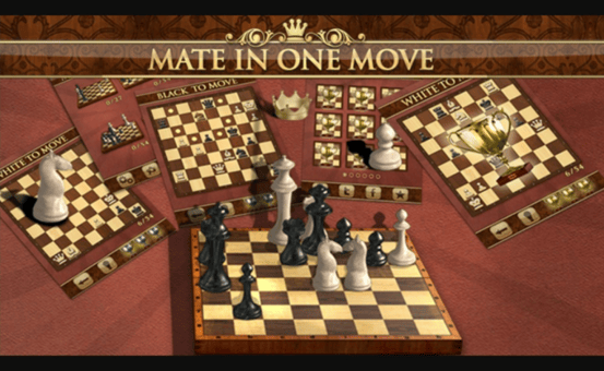 How to Choose a Chess Move: 600 Checkmate Chess Puzzles in One