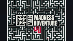 Maze Madness Adventure