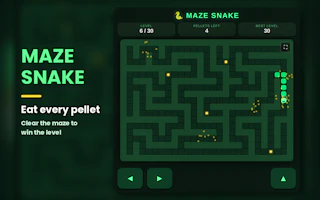 Maze Snake