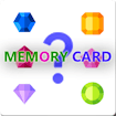 Memory Card