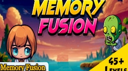 Memory Fusion