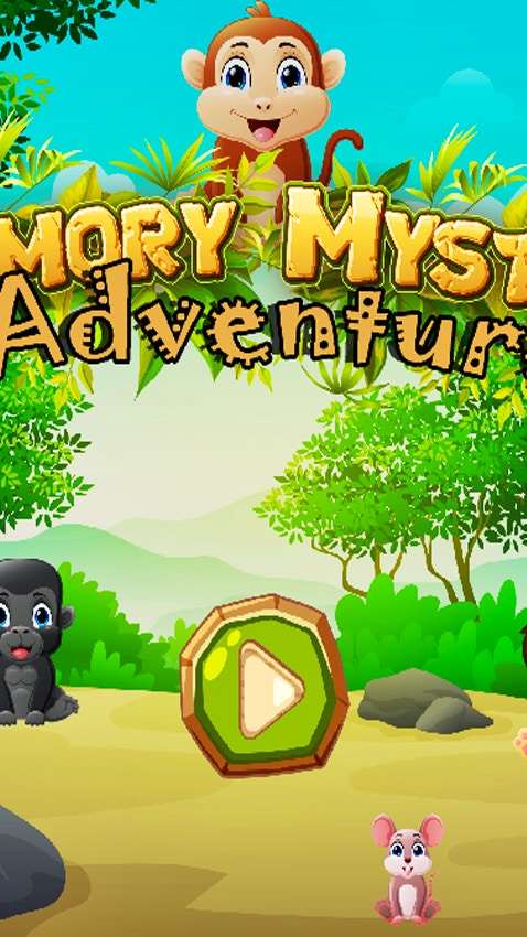 Memory Mystery Adventure