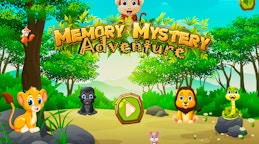 Memory Mystery Adventure
