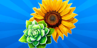 Merge Flowers in Bubbles 2048! thumbnail