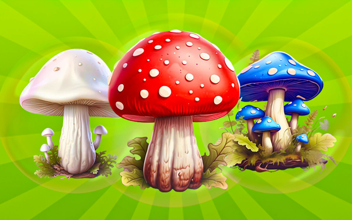 Play Merge Mushrooms 2048! — free online Casual game