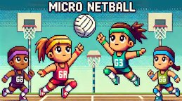 Micro Netball
