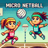 Micro Netball