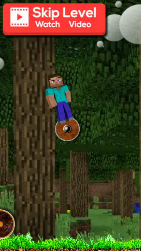 Minecraft World Adventure