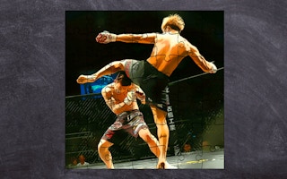 Mma Fighters Jigsaw game cover