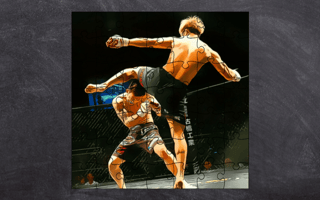 Mma Fighters Jigsaw game cover