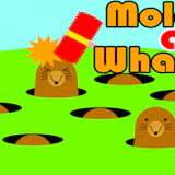 Mole a Whack