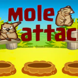Mole Attack