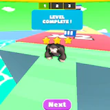 Monkeys Fighting
