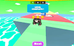 Monkeys Fighting