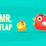 Mr Flap