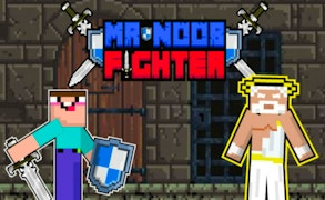 Mr Noob Fighter